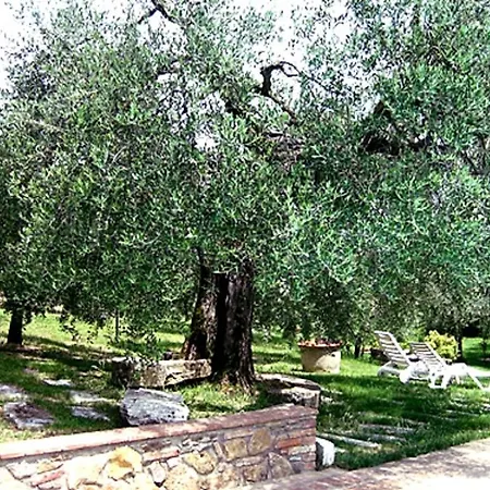 Le Corolle Holiday home *